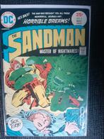 The Sandman #2, Boeken, Ophalen of Verzenden, Zo goed als nieuw