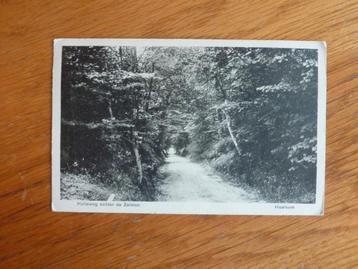 Heelsum Holleweg achter de Zalmen rond 1935 beschikbaar voor biedingen