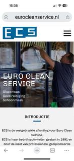 Particulier werk te koop en evt  zzper gevraagd, Diensten en Vakmensen, Schoonmakers en Glazenwassers, Glazenwassen buiten