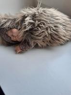 Anne Geddes Egel, Verzamelen, Poppen, Ophalen of Verzenden, Zo goed als nieuw, Pop