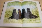 De Flatcoated Retriever — Historie, Zorg & Gezondheid, Ophalen of Verzenden, Zo goed als nieuw