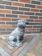 Betonbeeld Engelse buldog, Tuin en Terras, Tuinbeelden, Ophalen, Nieuw, Beton, Dierenbeeld