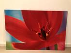 foto op canvas 118 cm x 78 cm, Huis en Inrichting, Woonaccessoires | Schilderijen, Tekeningen en Foto's, Ophalen, Zo goed als nieuw