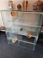 Prachtig groot gerbilarium knaagdier verblijf Terrarium!, Ophalen, Kooi, Gebruikt, Hamster