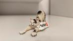 Schleich Stretchende Kat met Vaan ! ~ 13677 (13), Ophalen of Verzenden, Zo goed als nieuw, Hond of Kat, Beeldje of Figuurtje