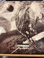 David Sylvian Albums, Cd's en Dvd's, Vinyl | Pop, Ophalen of Verzenden, 1980 tot 2000, Gebruikt, 12 inch