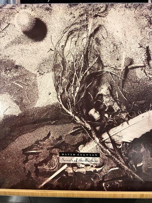 David Sylvian Albums, Cd's en Dvd's, Vinyl | Pop, Gebruikt, 1980 tot 2000, 12 inch, Ophalen of Verzenden