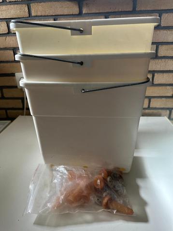 3 Lambar beschikbaar voor biedingen