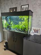 Juwel Aquarium Rio 125 (Leeg), Ophalen, Gebruikt, Leeg aquarium