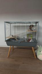 Mooie hamsterkooi op poten, 2 verdiepingen + extra’s, Minder dan 60 cm, Kooi, Ophalen of Verzenden, Zo goed als nieuw