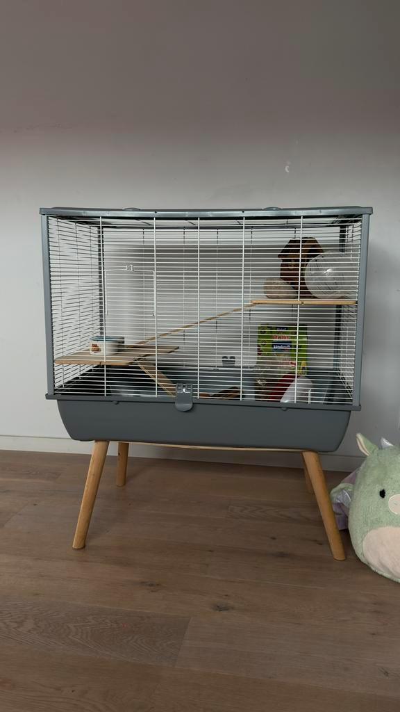 Mooie hamsterkooi op poten, 2 verdiepingen + extra’s, Dieren en Toebehoren, Knaagdieren en Konijnen | Hokken en Kooien, Zo goed als nieuw