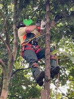 Uw boom rooien of snoeien is mijn hobby, ook tuinonderhoud, Diensten en Vakmensen, Tuinmannen en Stratenmakers, Tuinonderhoud of Snoeiwerk