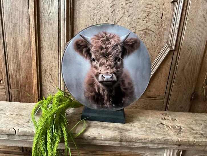 NIEUW glas schilderij Schotse Hooglander kalf 30 cm, Huis en Inrichting, Woonaccessoires | Schilderijen, Tekeningen en Foto's