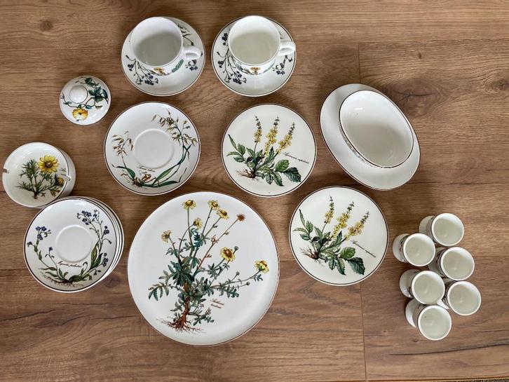 Villeroy & Boch botanica, Huis en Inrichting, Keuken | Servies, Zo goed als nieuw, Overige typen, Overige stijlen, Porselein, Ophalen