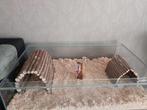 Groot glazen verblijf met rooster  (evt. met gratis tafel), Dieren en Toebehoren, Kooi, 110 cm of meer, Hamster, Zo goed als nieuw