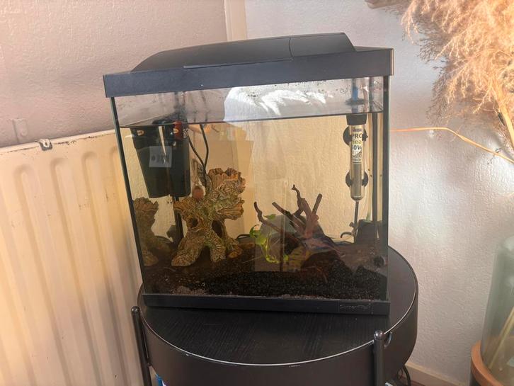 Aquarium met bij behorende spullen, Dieren en Toebehoren, Vissen | Aquaria en Toebehoren, Gebruikt, Leeg aquarium, Ophalen