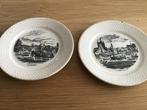 5 Antieke Petrus Regout Bordjes met Stadsgezichten, Ophalen of Verzenden, Gebruikt, Porselein, Bord of Schaal