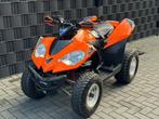 MOOIE ETON VECTOR ST300| AUTOMAAT| AUTO KENTEKEN| GORDEL, Motoren, Quads en Trikes, 300 cc, 1 cilinder, 12 t/m 35 kW
