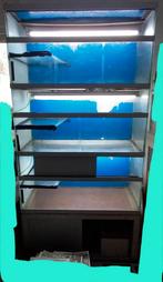 Aquarium rack., Dieren en Toebehoren, Vissen | Aquaria en Toebehoren, Ophalen, Gebruikt, Leeg aquarium