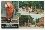 Tilburg dierentuin zoo Tilburg's Natuurdierenpark 1973, Verzamelen, Verzenden, 1960 tot 1980, Gelopen, Noord-Brabant