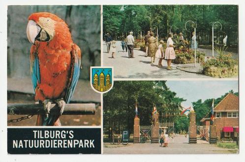 Tilburg dierentuin zoo Tilburg's Natuurdierenpark 1973, Verzamelen, Ansichtkaarten | Nederland, Gelopen, Noord-Brabant, 1960 tot 1980
