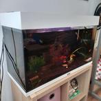 AQUARIUM 140L JUWEL, Vis