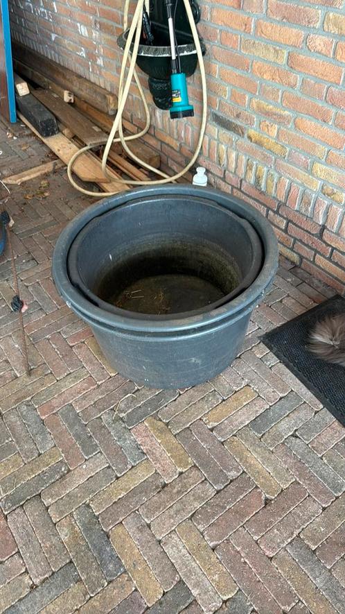 Drinkbak   Voerbak voor veulen  speciekuip, Dieren en Toebehoren, Stalling en Weidegang, Toebehoren