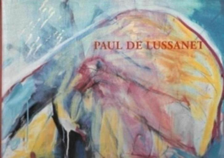 Paul De Lussanet, Boeken, Kunst en Cultuur | Beeldend, Zo goed als nieuw, Schilder- en Tekenkunst, Ophalen of Verzenden