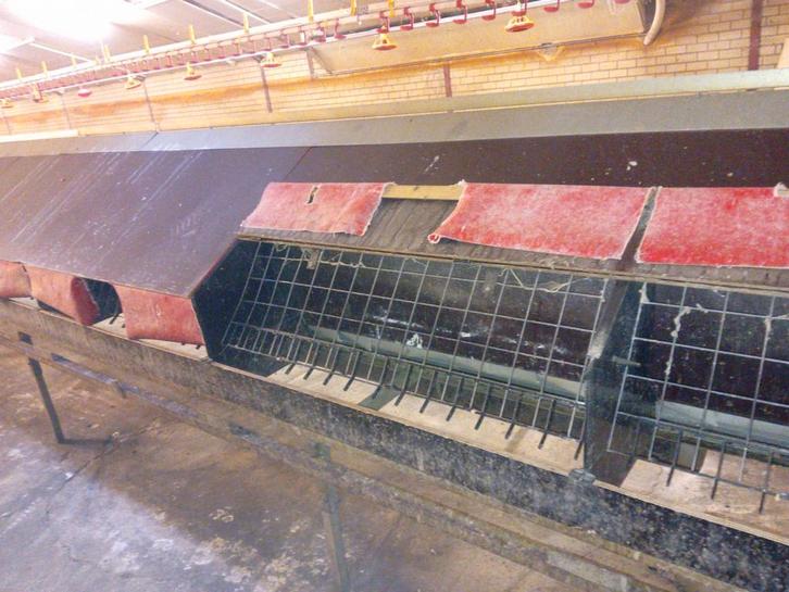 Automatisch wegrolnest jansen, Dieren en Toebehoren, Pluimvee | Toebehoren, Ophalen