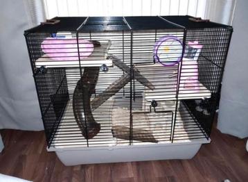 Interzoo hamsterkooi Pink 3 beschikbaar voor biedingen