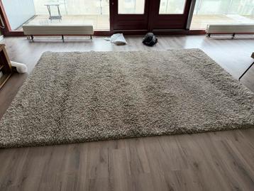 Hoogpolig Karpet - Zilver Gemeleerd - 340x240 cm beschikbaar voor biedingen