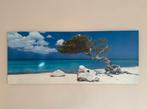 Divi divi boom Aruba op canvas (IKEA), Huis en Inrichting, Woonaccessoires | Schilderijen, Tekeningen en Foto's, Ophalen, Zo goed als nieuw