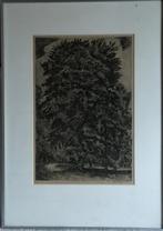 Wout  van Heusden, Antiek en Kunst, Kunst | Etsen en Gravures, Ophalen of Verzenden