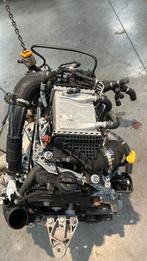 Motor transporter t6.1 2021 motorcode DNAB, Ophalen, Gebruikt, Volkswagen