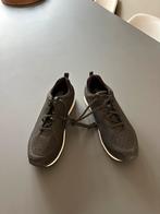 Shimano CT 500 fietsschoen, SPD,  maat 44 valt als 42,5/43, Ophalen of Verzenden, Zo goed als nieuw, Overige typen