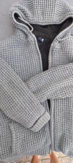 Herenvest, Kleding | Heren, Ophalen, Zo goed als nieuw, Maat 52/54 (L), Grijs