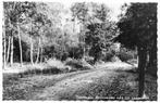 AK Ossendrecht - Bieduinenlaan+Putse Duin nabij Legerplaats, Verzenden, 1960 tot 1980, Ongelopen, Noord-Brabant