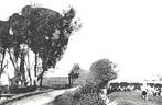 942274 Egmond a d Hoef NH Weg naar Bergen Nette oude kaart, Verzamelen, Ansichtkaarten | Nederland, Ophalen of Verzenden, Ongelopen