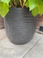 Capi bloempot incl. Blauwe hortensia, Kunststof, 40 cm of meer, Rond, Ophalen of Verzenden