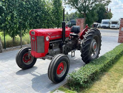 1964 Massey Ferguson Oldtimer tractor, Zakelijke goederen, Agrarisch | Tractoren, Massey Ferguson, Oldtimer
