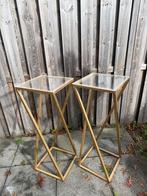 Plantentafel / Zuil - Gouden Frame & Glazen Blad, Ophalen of Verzenden, Zo goed als nieuw