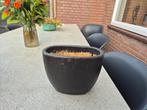 Terracotta geverfde zwarte bloempot ovaal, Tuin en Terras, Ophalen, Steen, Gebruikt, Minder dan 30 cm