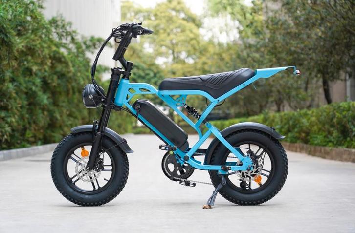 Fatbike v20 pro mini Elektrische Fiets - Zo Goed Als Nieuw!, Fietsen en Brommers, Fietsen | Racefietsen, Zo goed als nieuw, Overige merken