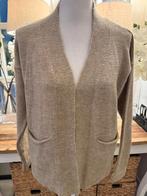 Nieuw, Beige vest ST, 38/M, perfecte, nieuwe staat., Ophalen of Verzenden, Nieuw, Maat 38/40 (M), Beige