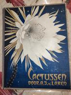 Verkade plakboek met verzamelplaatjes Cactussen 1931-33, Boeken, Prentenboeken en Plaatjesalbums, Gelezen, Ophalen of Verzenden