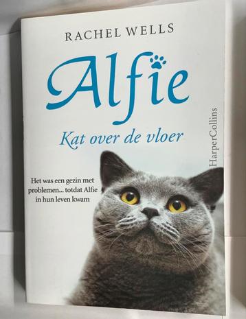 Alfie, kat voor de deur. beschikbaar voor biedingen