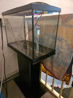 Aquarium start 70 tropical kit met kast, Dieren en Toebehoren, Ophalen, Gebruikt, Leeg aquarium