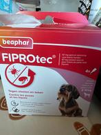 Fiprotec ontvlooiing honden tot 10 kg, Ophalen, Hond