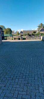 Stalling met weidegang, Dieren en Toebehoren, Stalling en Weidegang, Weidegang