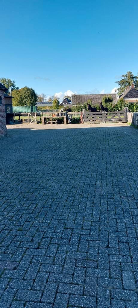Stalling met weidegang, Dieren en Toebehoren, Stalling en Weidegang, Stalling, Weidegang